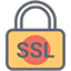 icon ssl lock